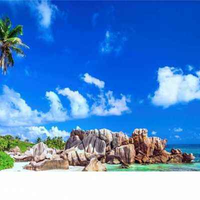 leyu乐鱼下载手机版